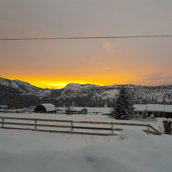 Meet your Posher, Eva - Picture 1 of 1